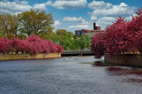 Mill River Nature Setting Foto stock