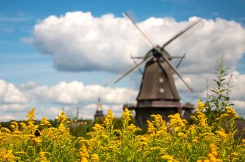 Mill in summer day Foto stock