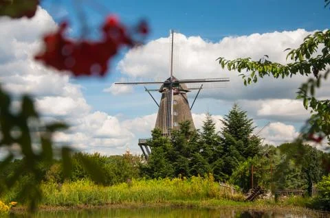 Mill in summer day Foto stock