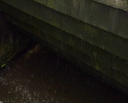 Mill wheel paddles Stock Footage 605514