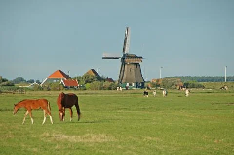 Mill016 Stock Photos