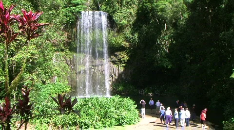 Millaa millaa falls Stock Footage