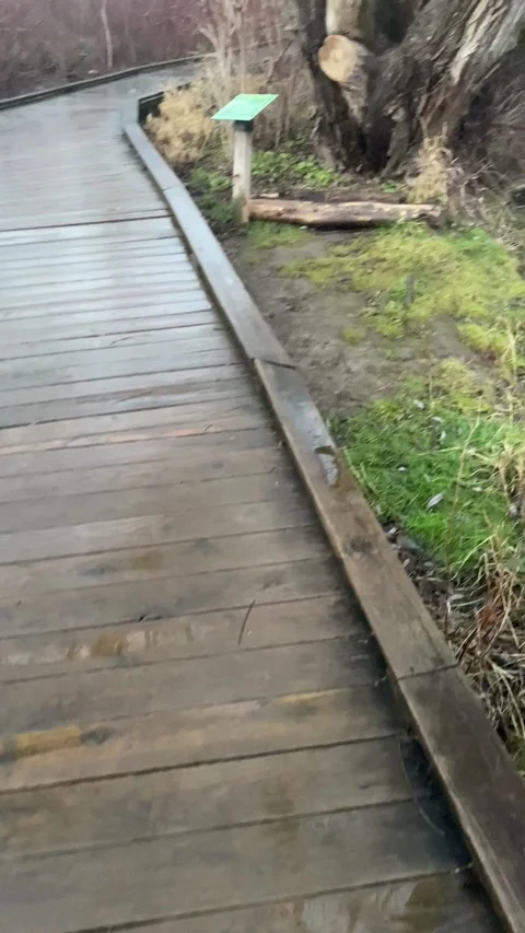 Millbrook Marsh Boardwalk State College Stock Footage 244789111