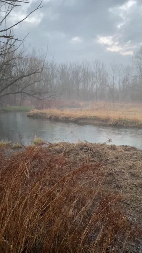Millbrook Marsh Nature Center Bend in the Stream State College Pennsylvania Stock Footage 244789266