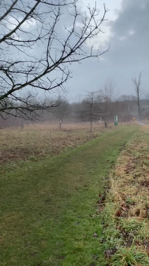 Millbrook Marsh Nature Center grass walking path State College Pennsylvania Stock Footage 244789162