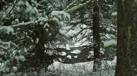 MillCreekScenic 0033 Stock Footage 14819970