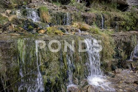 Millennial cold forest creeks, little waterfalls Stock Photos