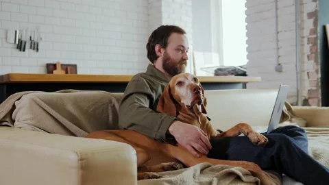 A millennial man is sitting on the couch with a laptop and an old dog Stock Footage 233840232