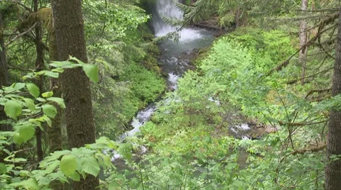 Miller Falls 03 Video stock 7729735