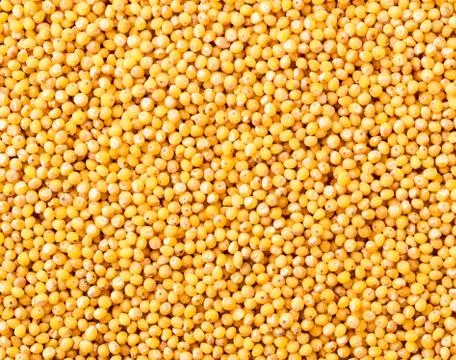 Millet close-up, background. The view from top. Stock Photos