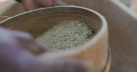 Millet flour processing in sifter in Mali, West Africa - color corrected Stock Footage 253656854