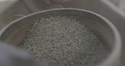 Millet flour processing in sifter  in Mali, West Africa - LOG Stock Footage 253657533