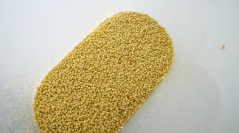 Millet Stock Footage 681558