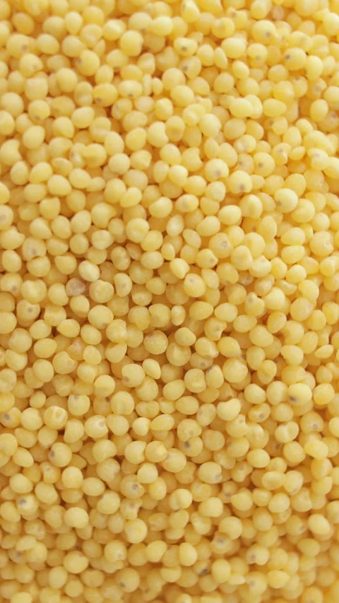 Millet grain close up background, texture. Food Background. Vertical video. Stock Footage 271070147