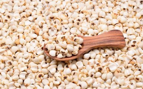 Millet grains background Foto stock