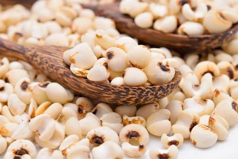 Millet grains Stock Photos