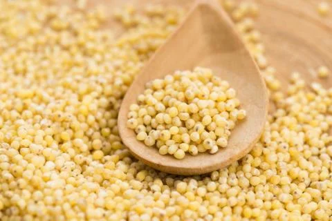 Millet groats Stock Photos