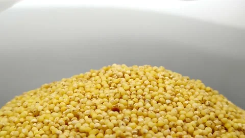 The millet hill turns in a circle Stock Footage 168422572