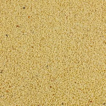 Millet Stock Photos