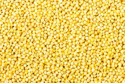 Millet Stock Photos