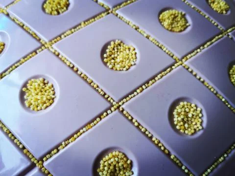 Millet Stock-Fotos