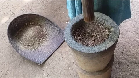 Millet Pounding in Mortar with Winnowing Basket Beside Stock Footage 340051534