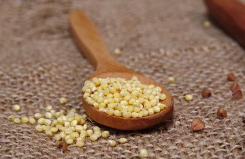 Millet on spoon Stock Photos