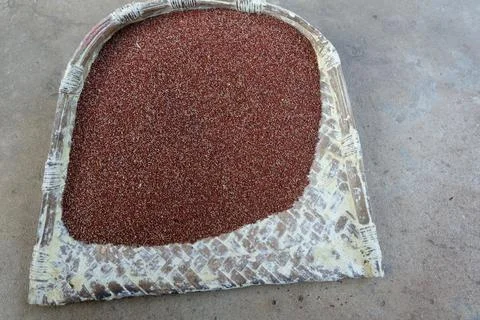 Millets in a dustpan Stock Photos