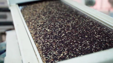 Milling Machine black rice slowmotion Vídeos de archivo 156234640