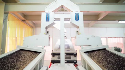 Milling Machine double row black rice slowmotion Stock Footage 156234836