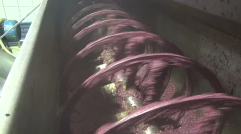 Milling Olives (2) Vidéo 44022702