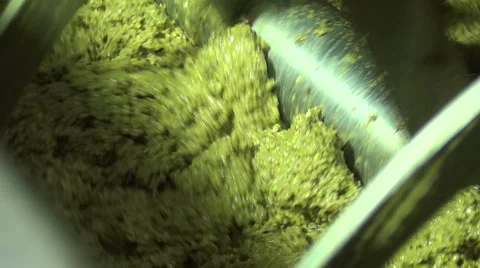 Milling Olives (4) 库存影片 44023793