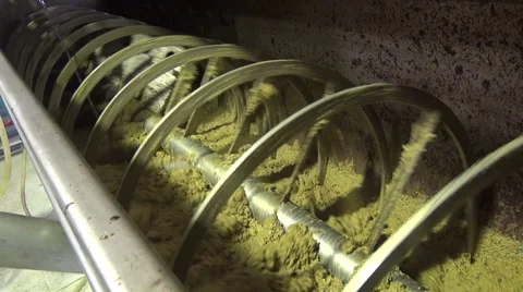 Milling Olives (5) Stockbeeldmateriaal 44024327