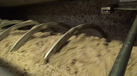 Milling Olives (6) Видео 44024757