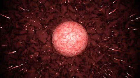Million Of Sperms Movement Struggle Approaching Egg Cell Or Ovum In Fallopian  Stock Illustration