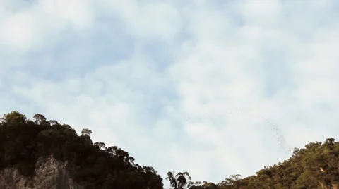 Millions of bats form patterns in the sky as they exit a cave at dusk Stock Footage 39932213