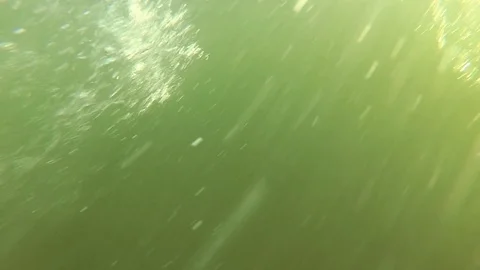 Millions of bubbles float upward in water slow motion Stock Footage 95407896