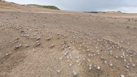Millions of nurdles (plastic pellets) on beach as far as horizon Stock Footage 157287438