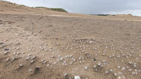 Millions of nurdles (plastic pellets) scattered across beach sand Stock Footage 157287439