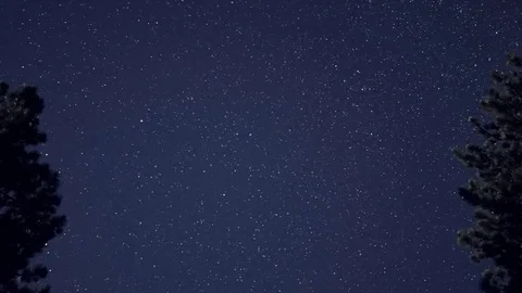 Millions of Stars Floating Stock Footage 79140949