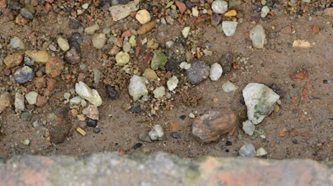 Millipede 库存影片 27496319