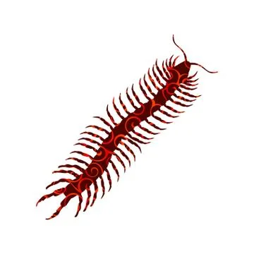 Millipede insect spiral pattern color silhouette animal. Illustrazione stock