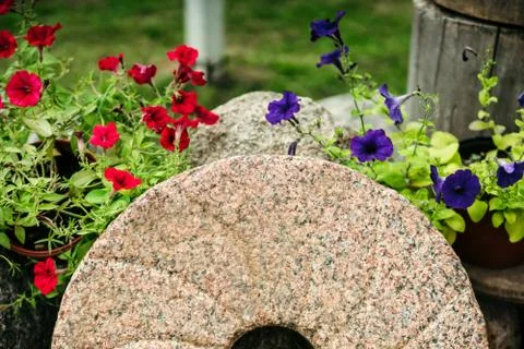 Millstone from the windmill surrounded by flowers 스톡 사진