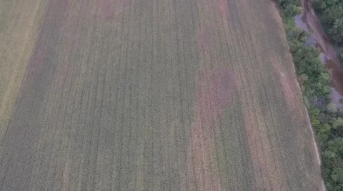 Milo Field - Aerial Stock Footage 64978334