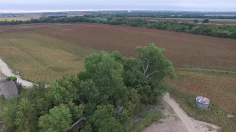 Milo Field - Aerial View Stock Footage 64978373