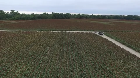 Milo Field - Pan Across Stock Footage 64978456