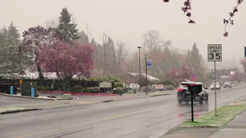 Milton 4 Stock Footage 330837114