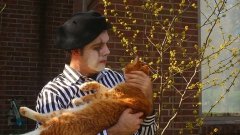 Mime with a cat Video stock 74145202