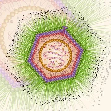 Mimi virus. Background. Eps 10. Stock Illustration