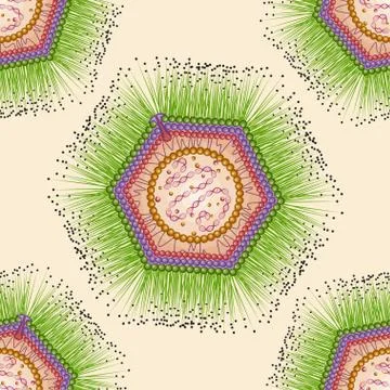 Mimi virus. Seamless pattern. Eps 10. Stock Illustration
